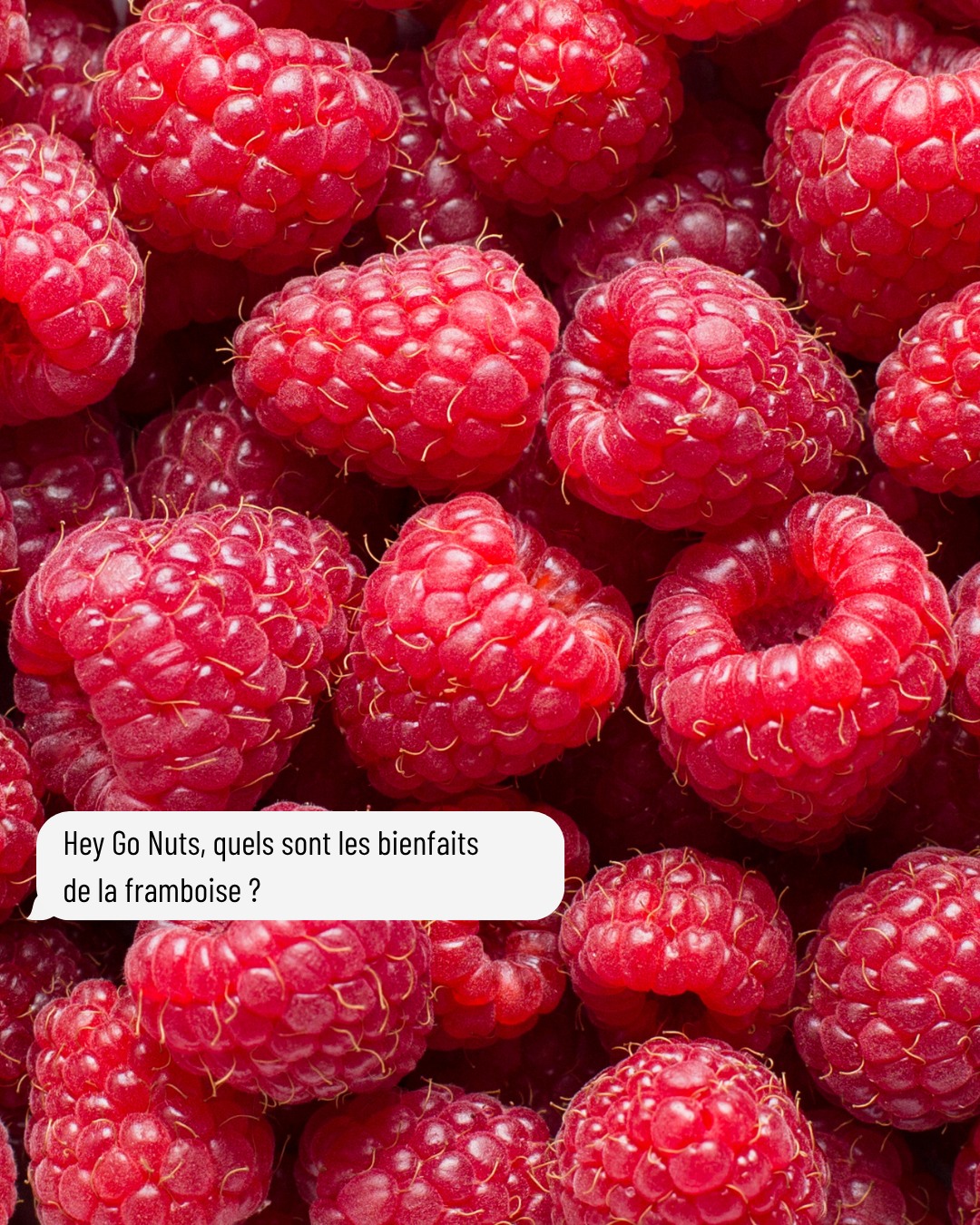 Rouge, gourmande et pleine de bonnes surprises. ❤️ Derrière son goût délicatement acidulé, la framboise a plus d’un atout. Naturellement source en fibres, elle contribue à la satiété et apporte également de la vitamine C, qui participe au bon fonctionnement du système immunitaire. C’est justement pour préserver toute son intensité que nous l’avons mise à l’honneur dans notre pâte à tartiner Framboises bio. Une recette gourmande qui révèle toute la richesse du fruit, à savourer sur une tartine, dans un yaourt, un smoothie ou simplement à la cuillère (on ne dira rien 😉). Et vous, quelle est votre façon préférée de déguster notre pâte à tartiner à la framboise ? ❤️ Rendez-vous sur https://gonuts.fr/pates-a-tartiner-fruits-secs/47-pate-a-tartiner-framboises-bio-270gr.html