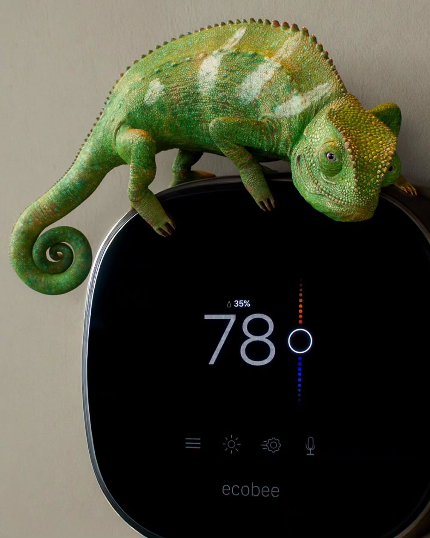 Check out our latest work on the CPS Energy project 🦎.
We were thrilled to collaborate with @tomigaworks on this project. Special thanks goes to Tony Gallardo and Julian Lopez.
#vfxstudio #vfxbreakdown #vfxnews #vfxworld #vfxartist #vfxguru #vfxlife #spectravfx #vfxsupervisor #vfxanimation #vfxpro #vfxjobs #vfxeditor #vfxcompositing #vfxartists #movieeffectsvfx #makingmovie #vfx #vfxexpress #visualeffects #cgi #vfxreel #vfxshowreel #3d #vfxvideo #animation #cg #makingofmovies #3djobs #postproduction