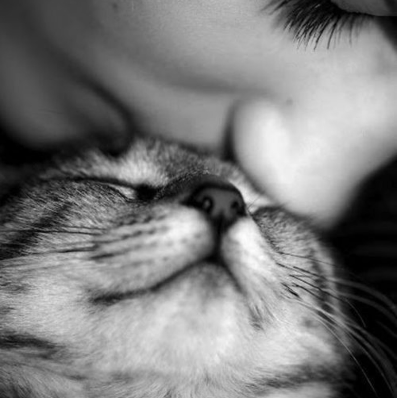 Iâm not usually one for big âlife updateâ posts⊠but...