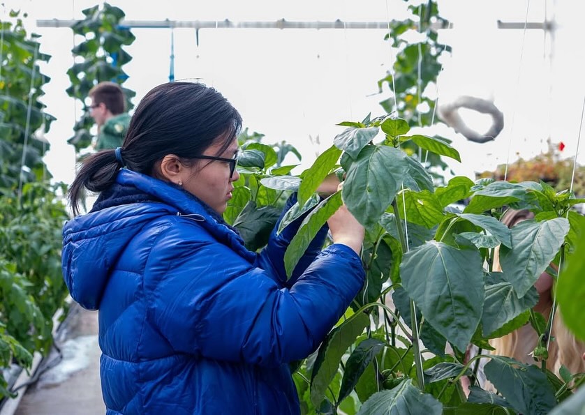 Love plants, animals, or the outdoors? Keen about working on a farm, greenhouse, or nursery? Passionate about food security and sustainability? Want to support farmers and grow the local food economy?
If so, a career in agriculture could be right for you! Connect with the faculty at @ufvagriculture at the Show to learn more about their programs.
#PAS2026 #agriculture #agcareers #farming #farms #careeroppurtunities