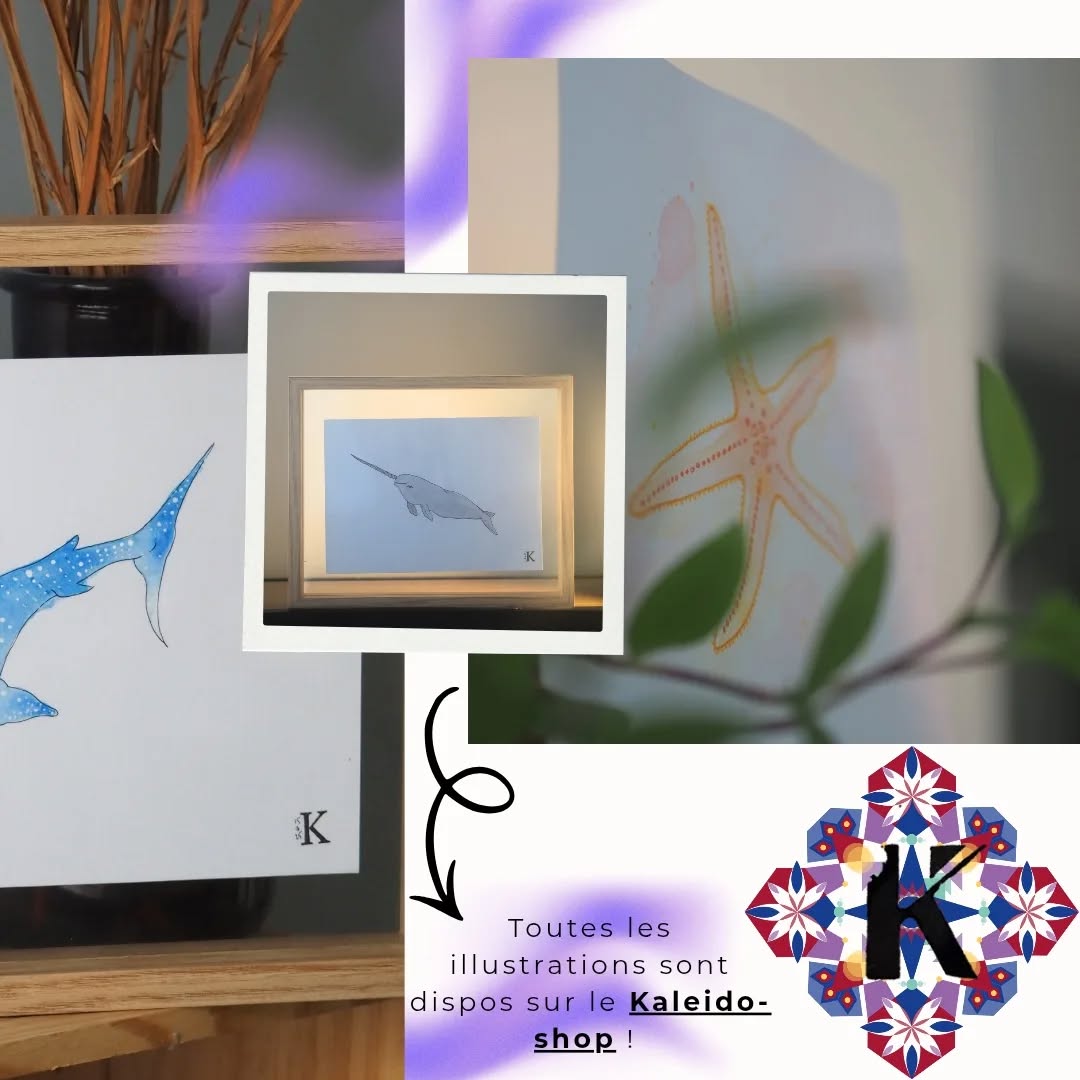 Collection Monde Marin 🌊
Des illustrations originales à l’aquarelle,
celles qui ont donné naissance au calendrier perpétuel ✨
Depuis toujours, l’Océan m’apaise, me fascine et m’inspire.
Par mes illustrations, je souhaite partager sa beauté et sa richesse, mais aussi sensibiliser à l’importance de protéger ce monde fragile et silencieux.
Les illustrations originales de la collection Monde Marin
sont disponibles sur le Kaleido-shop 👉 lien en bio
#illustration #aquarelle #mondemarin #océan #artengagé #nature #nantes