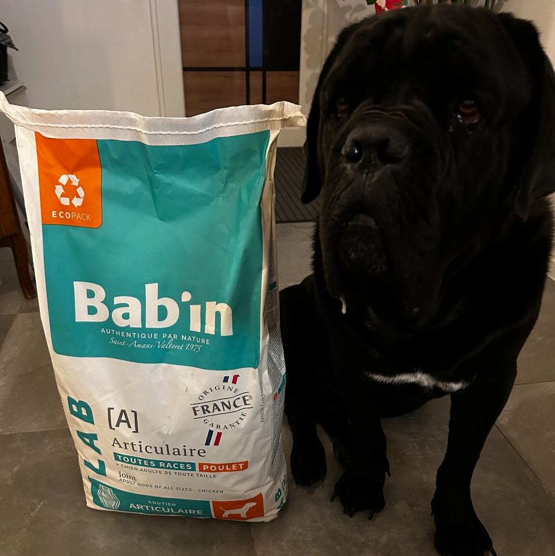 🐾 Votre chien a des articulations sensibles ?BAB’IN LAB ADULTE ARTICULAIRE est spécialement conçu pour les chiens de moyenne et grande taille.✅ Soutien articulaire renforcé : Avec un complexe exclusif de glucosamine & chondroïtine (2000 mg/kg).
✅ Action naturelle : Harpagophytum, Reine des prés, Prêle et Feuille de cassis pour un confort optimal.
✅ Oméga-3 & EPA : Huile de poisson, graines de chia et de lin pour nourrir les articulations de l’intérieur.
✅ Poids de forme : Apport énergétique maîtrisé, riche en fibres et protéines pour une musculature saine.Leur mobilité, c’est leur liberté➡️ Parfait pour : Les chiens actifs, les seniors ou toute race prédisposée aux sensibilités articulaires.#BabInLab #Chien #SantéAnimale #Articulations #ChienAdulte GrandChien AlimentationChien NaturalCare Mobilité BienÊtreAnimal