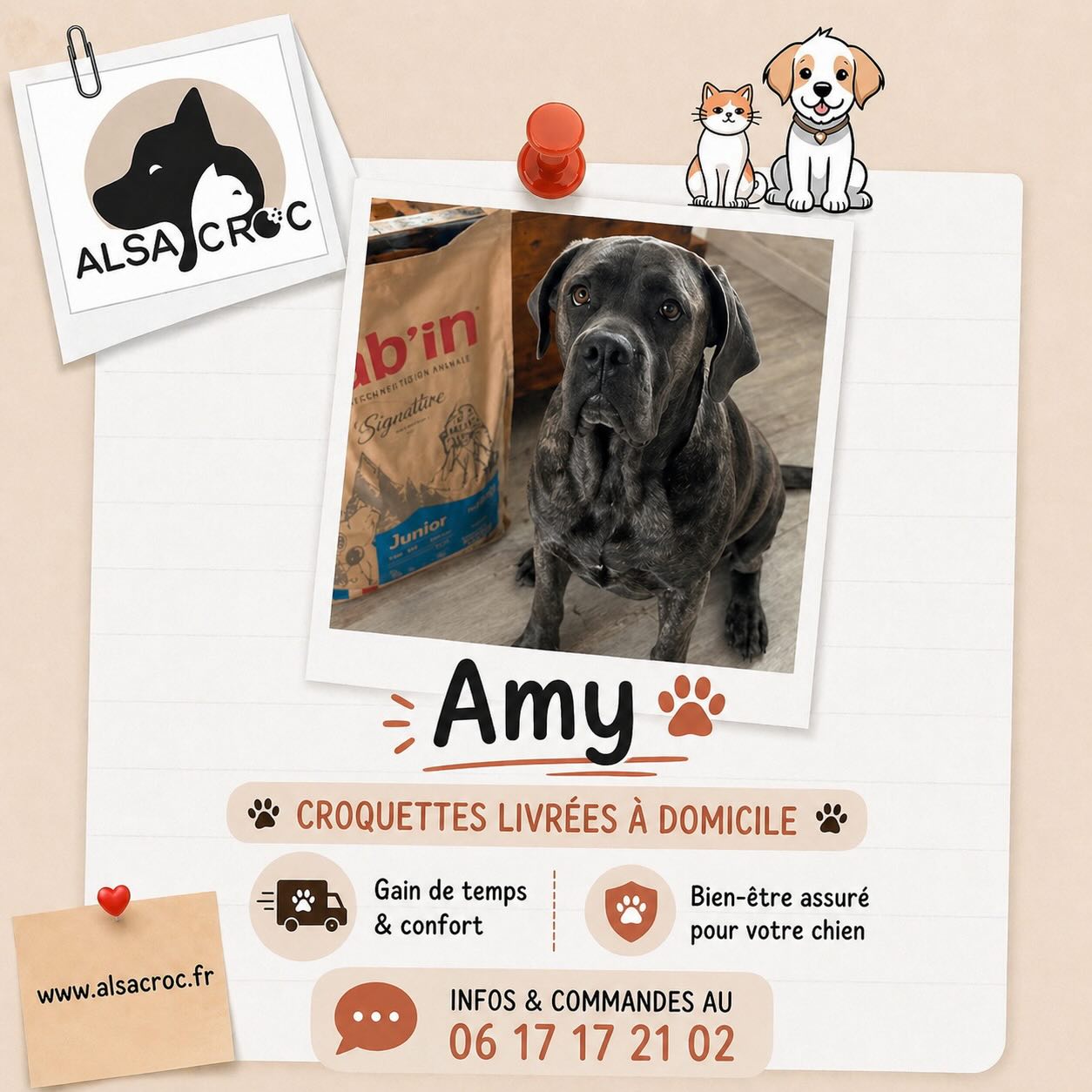 🐶✨ Offrez à votre chiot le meilleur départ dans la vie !BAB’IN MAXI JUNIOR est spécialement formulé pour les chiots de grande taille, qui ont besoin d’une croissance lente et maîtrisée 🦴💡 Grâce à :
✔️ Une énergie métabolisable adaptée
✔️ Un apport équilibré en calcium et phosphore
✔️ Une recette savoureuse au poulet & riz 🍗🍚
✔️ Un complexe de prébiotiques (FOS & MOS) pour une digestion optimale👉 Résultat : une croissance harmonieuse et un système digestif protégé !🐾 Convient aussi aux chiots de taille géante de 4 à 12 mois#ChiotHeureux #NutritionCanine #ChiotGrandeTaille #Babin #CroissanceSaîne Chiens